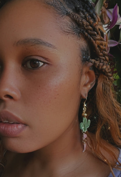 Western Earrings